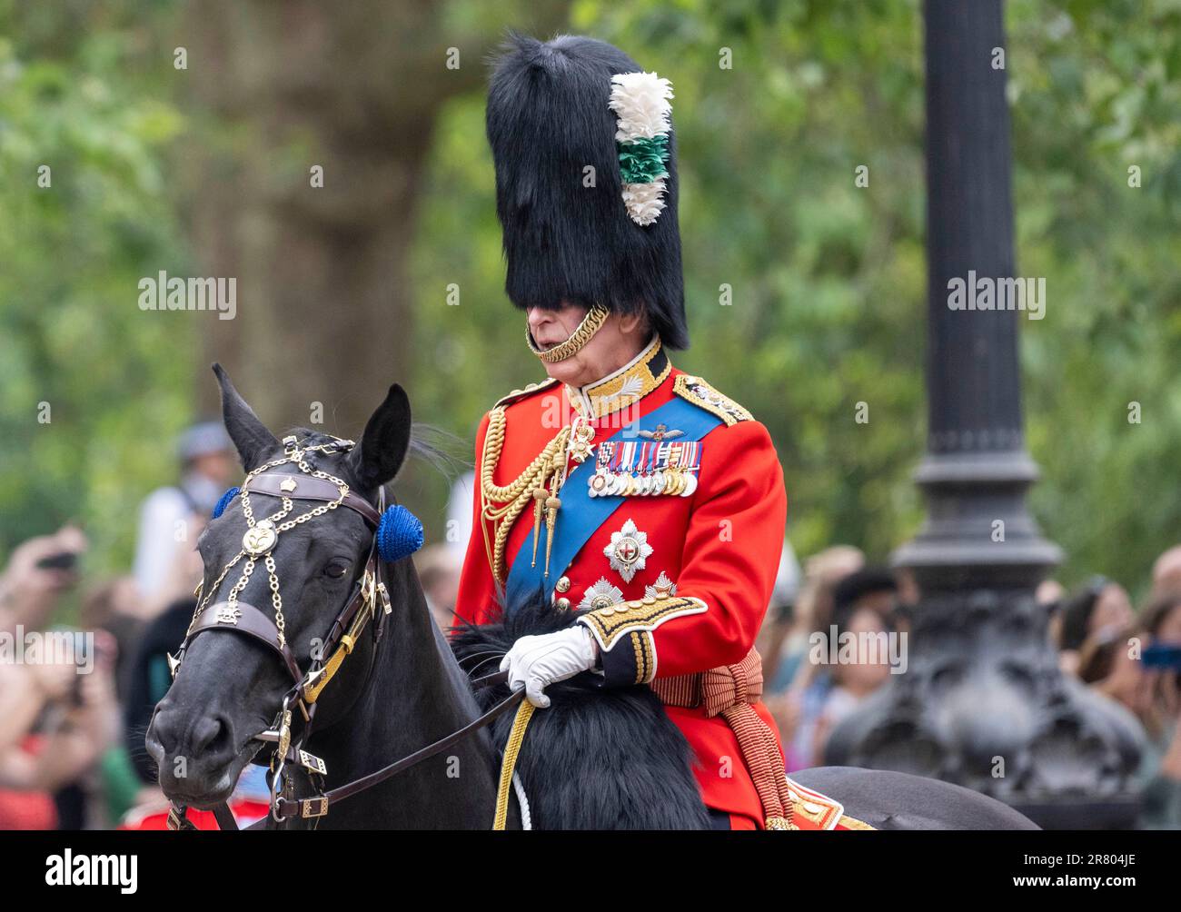 King charles lll horse hi-res stock photography and images - Alamy