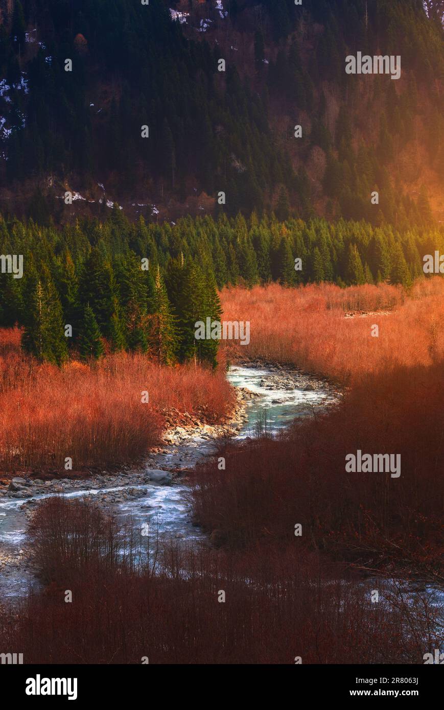 beautiful early spring time scene in forest with river Stock Photo