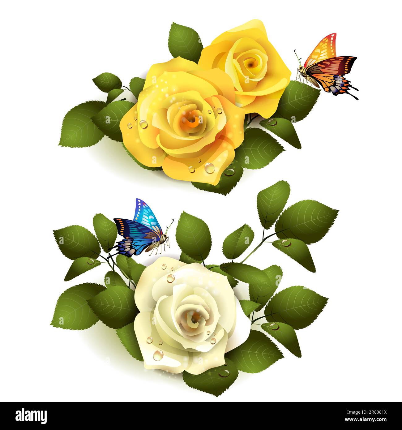 Roses with butterflies on white background Stock Vector