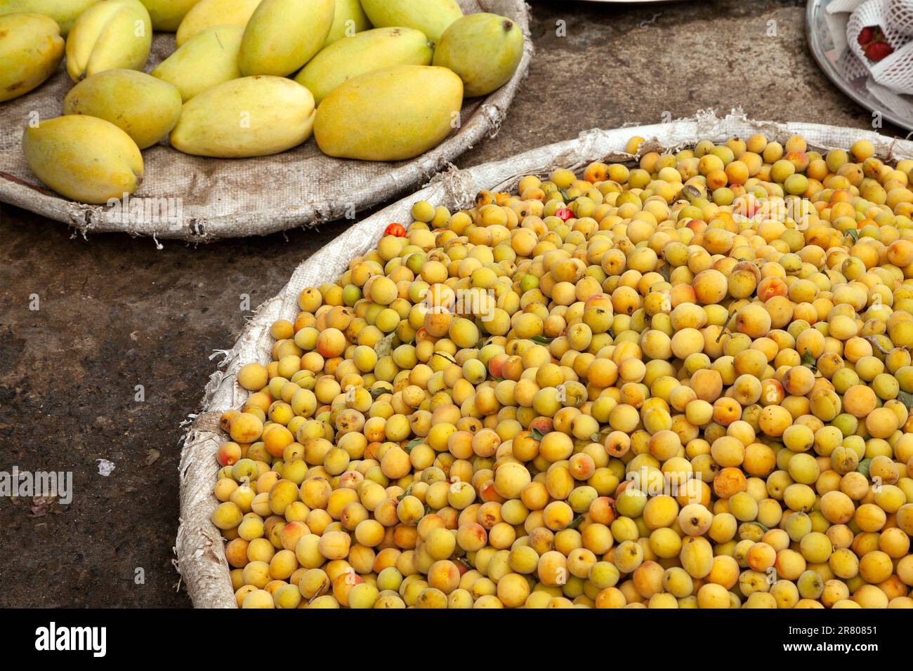 Huge pile of yellow fresh apricots next to a bowl of mangos at the farmer market. Cheap colorful fruit rich in vitamin a for sale at a Vietnamese farm - Stock Image
