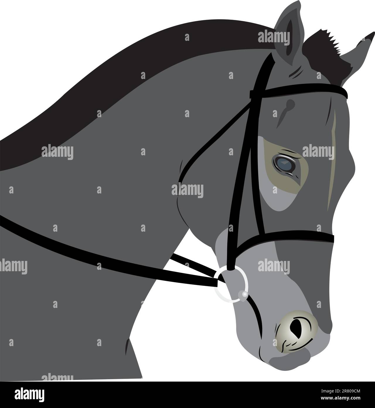 Head of a horse. Wild horse. A horse on a white background Stock Vector ...