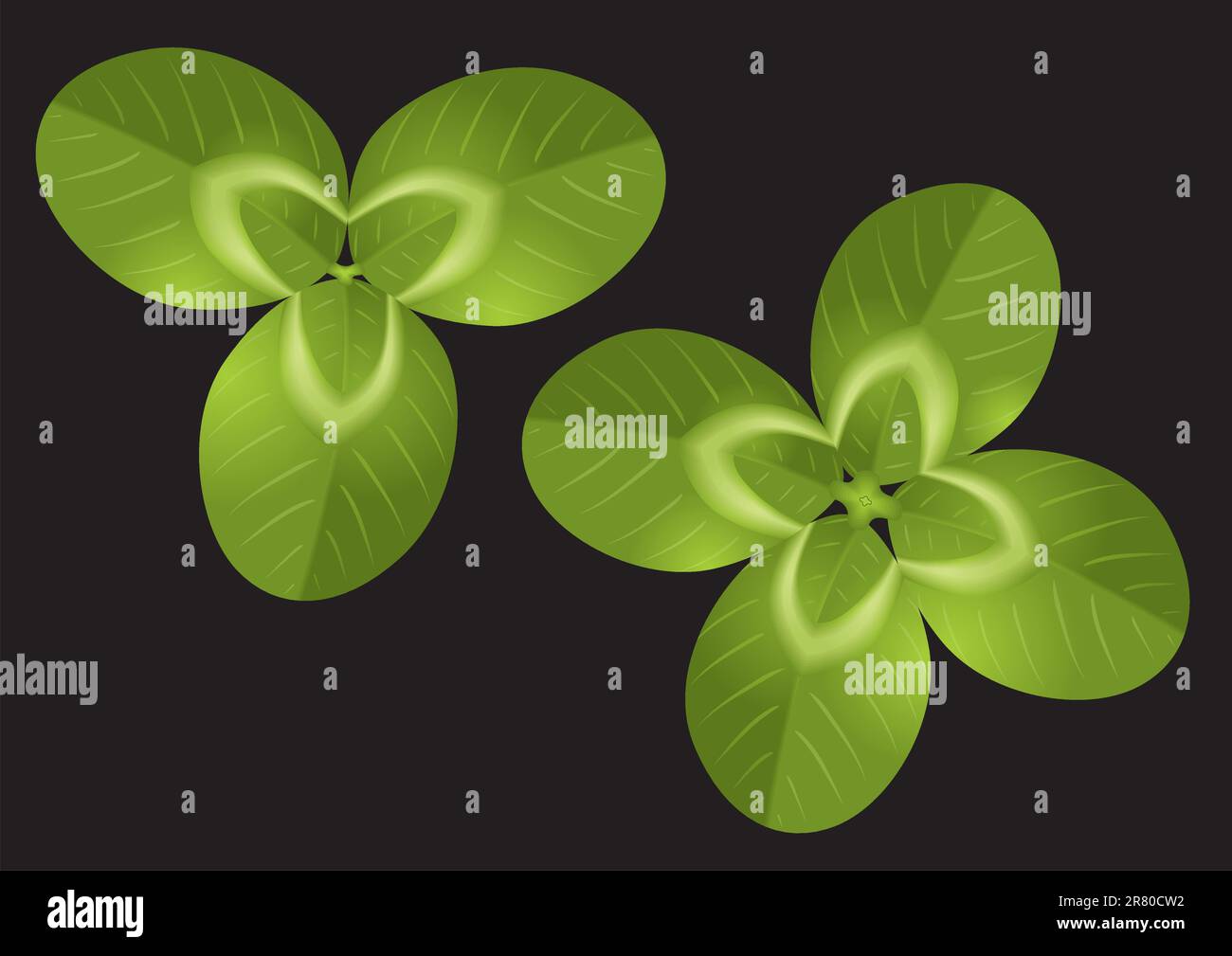 Green Clover vector Stock Vector