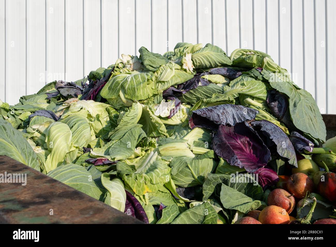 Expired Organic bio waste. Mix Vegetables and fruits in a huge
