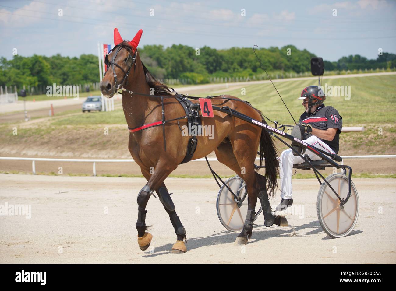Sombor, Serbia. 18th June, 2023. Horse 'Brenno Laumar' under number 4, owned by basketball player Nikola Jokic, during the horse race 'Cup of the City of Sombor' in Sombor, Serbia on June 18, 2023. Photo: Dejan Rakita/PIXSELL Credit: Pixsell/Alamy Live News Stock Photo