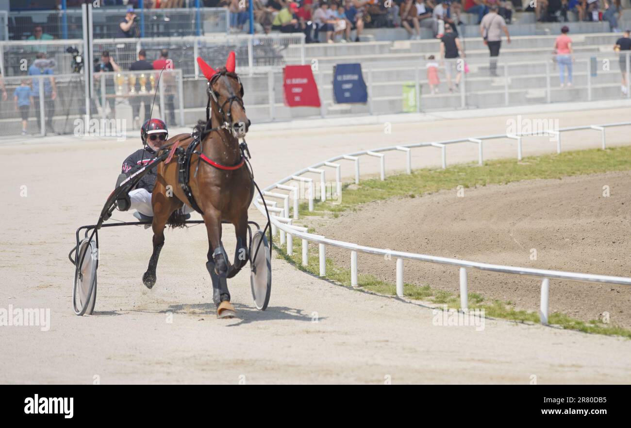 Sombor, Serbia. 18th June, 2023. Horse 'Brenno Laumar' under number 4, owned by basketball player Nikola Jokic, during the horse race 'Cup of the City of Sombor' in Sombor, Serbia on June 18, 2023. Photo: Dejan Rakita/PIXSELL Credit: Pixsell/Alamy Live News Stock Photo