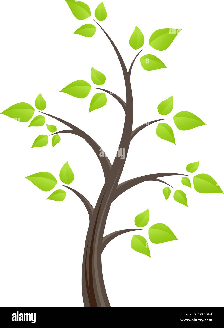 Vector deciduous tree, isolated on a white background Stock Vector