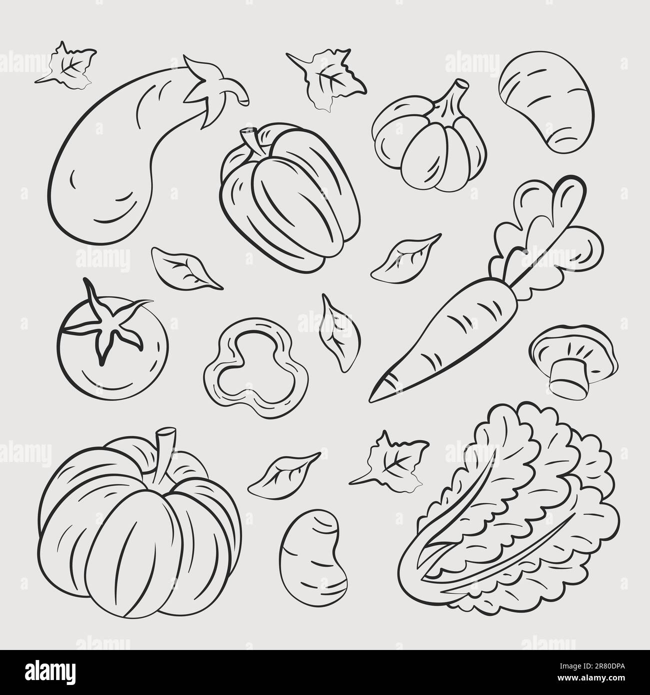 vegetables, hand drawn illustrations, pumpkin cabbage carrot vector Stock Vector