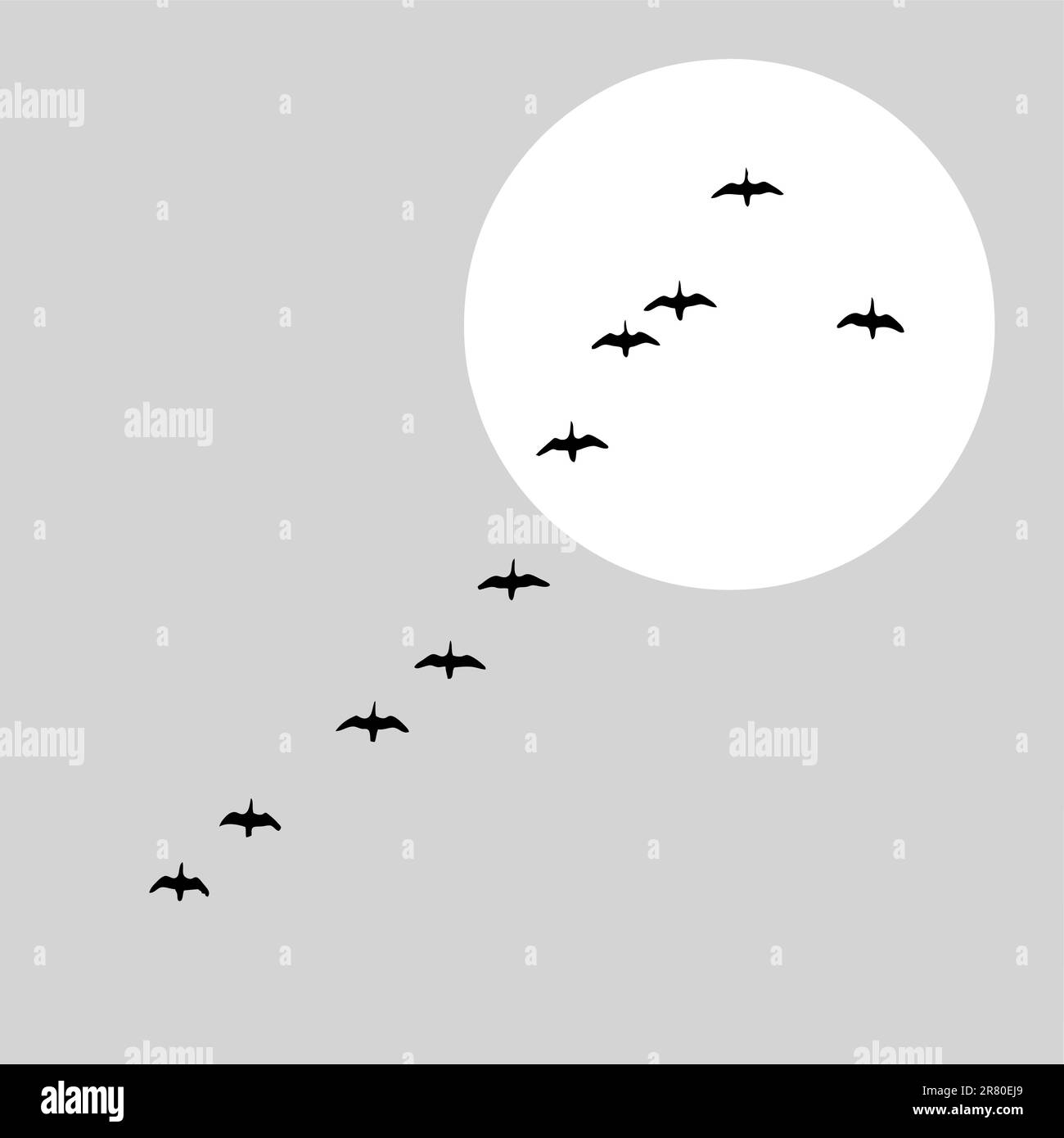 flying ducks silhouette on solar background, vector illustration Stock Vector