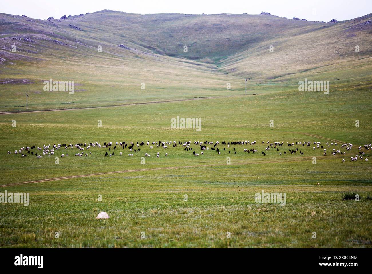 In the Orkhon valley Stock Photo - Alamy