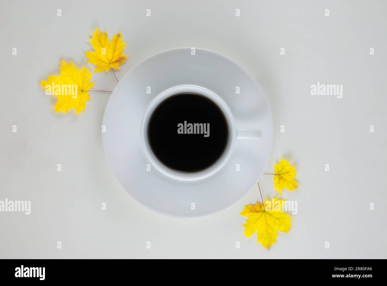 Coffee mug with autumn fall leaves on white background Stock Photo
