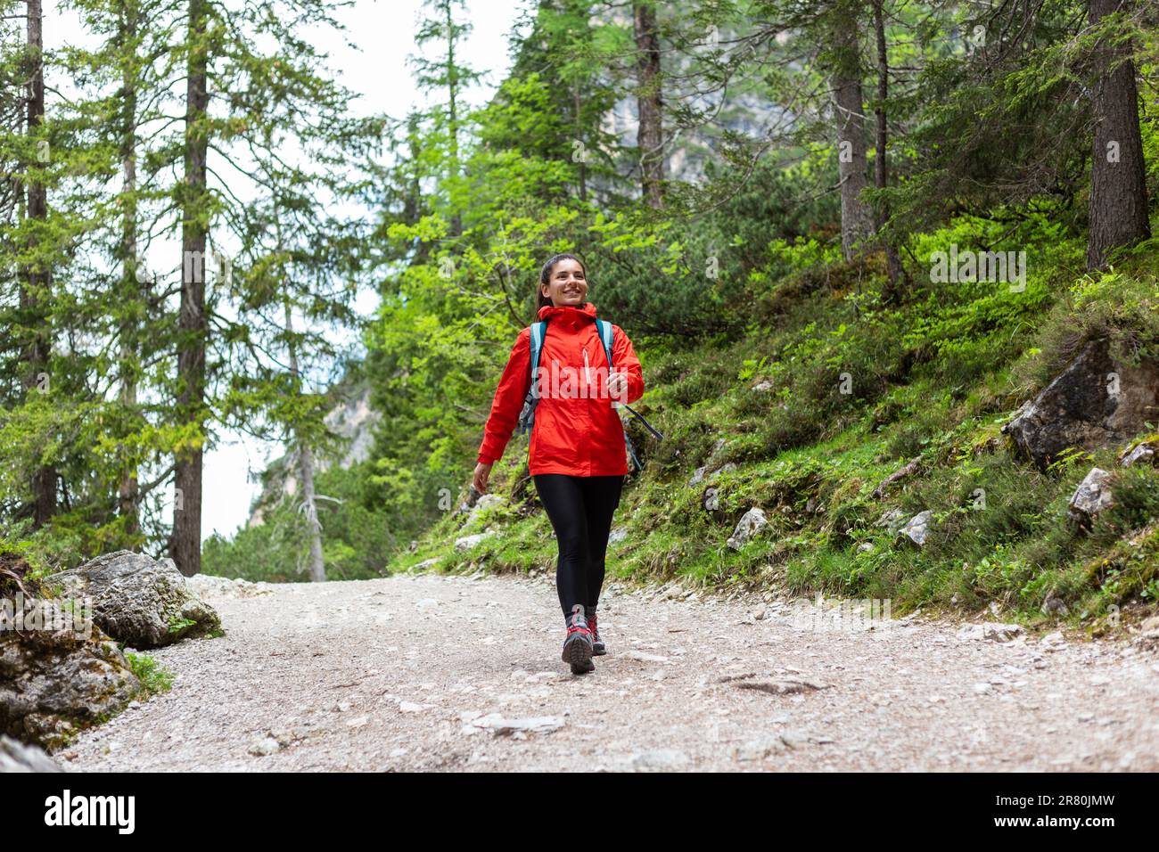 Andes 2025 forest raincoat
