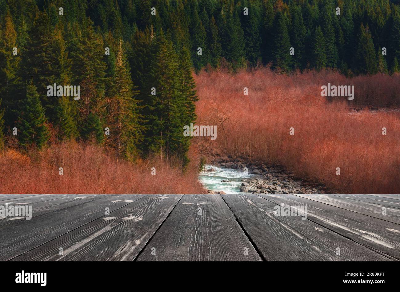 Beautiful early spring time scene in forest with river and empty wooden table. Natural template landscape. Stock Photo