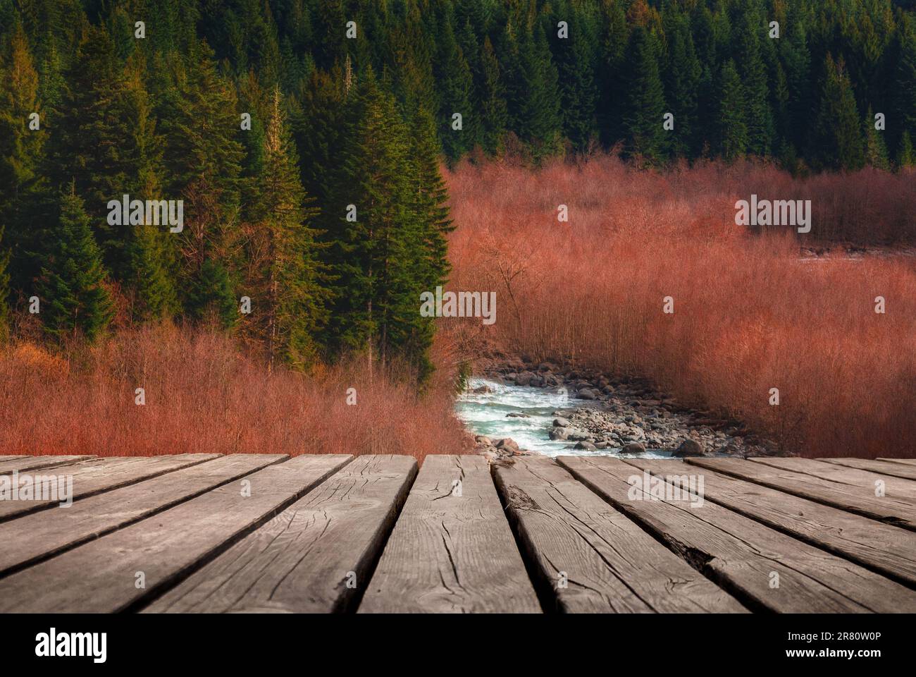 Beautiful early spring time scene in forest with river and empty wooden table. Natural template landscape. Stock Photo