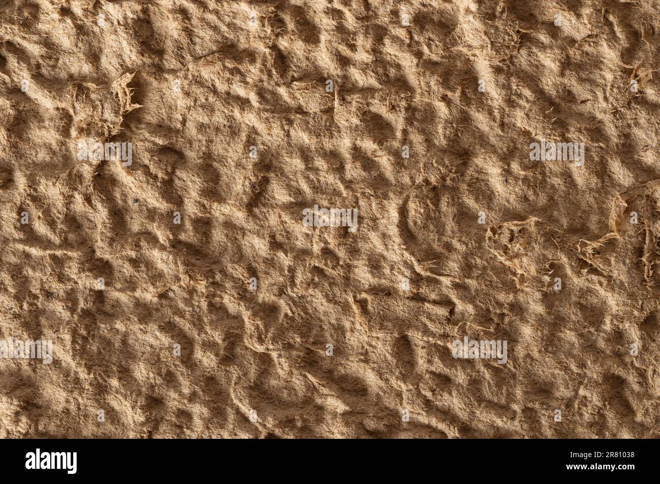 Rough beige color background. Recycled paper texture Stock Photo