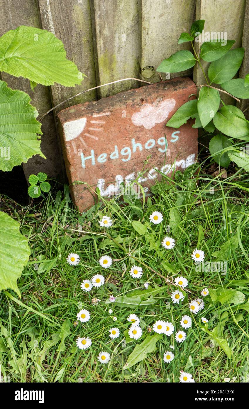 HEDGEHOGS WELCOME SIGN. Charming misspelt sign projecting awaremess of the importance of Hedgehogs in the domestic garden, with their habitat passage Stock Photo
