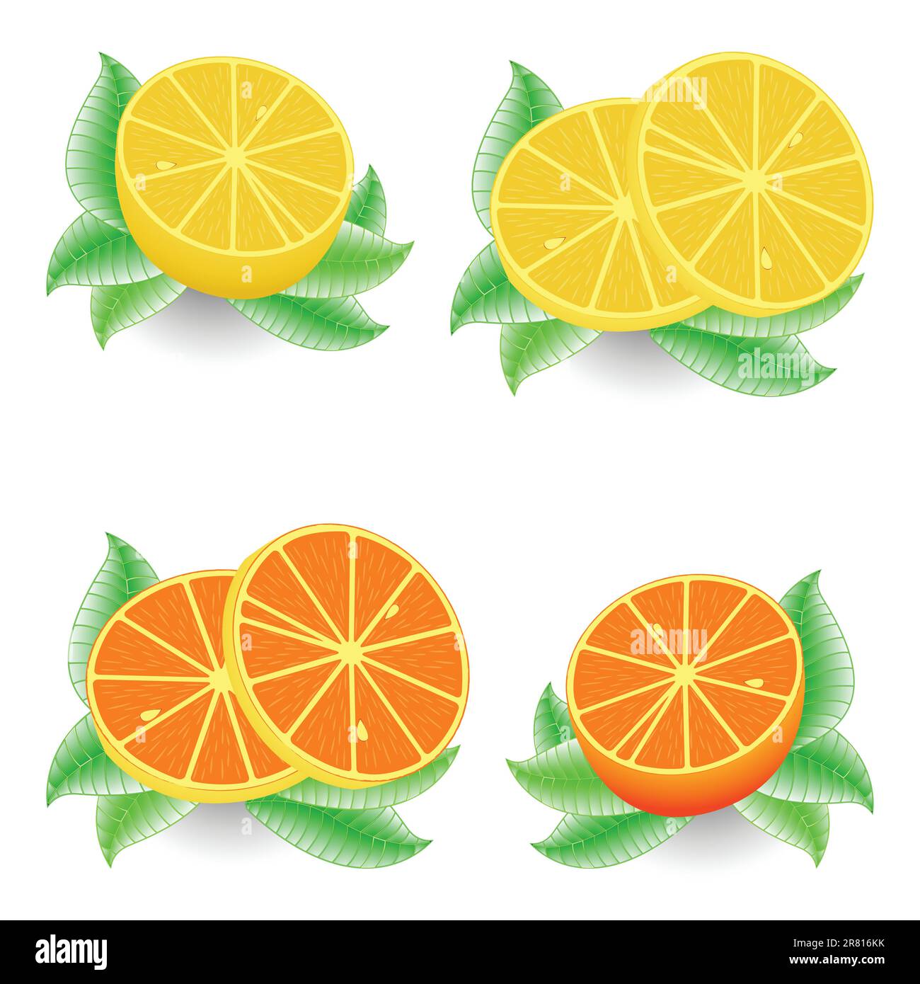sliced orange and lemon against white background, abstract vector art ...