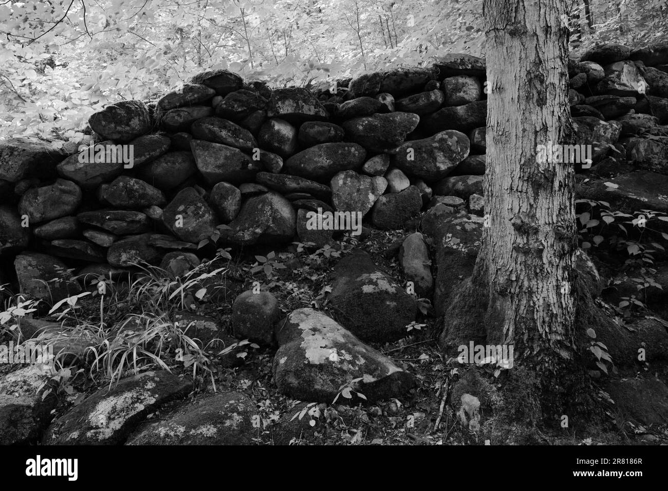 Rock wall in Gatlinburg, Tennessee. Stock Photo