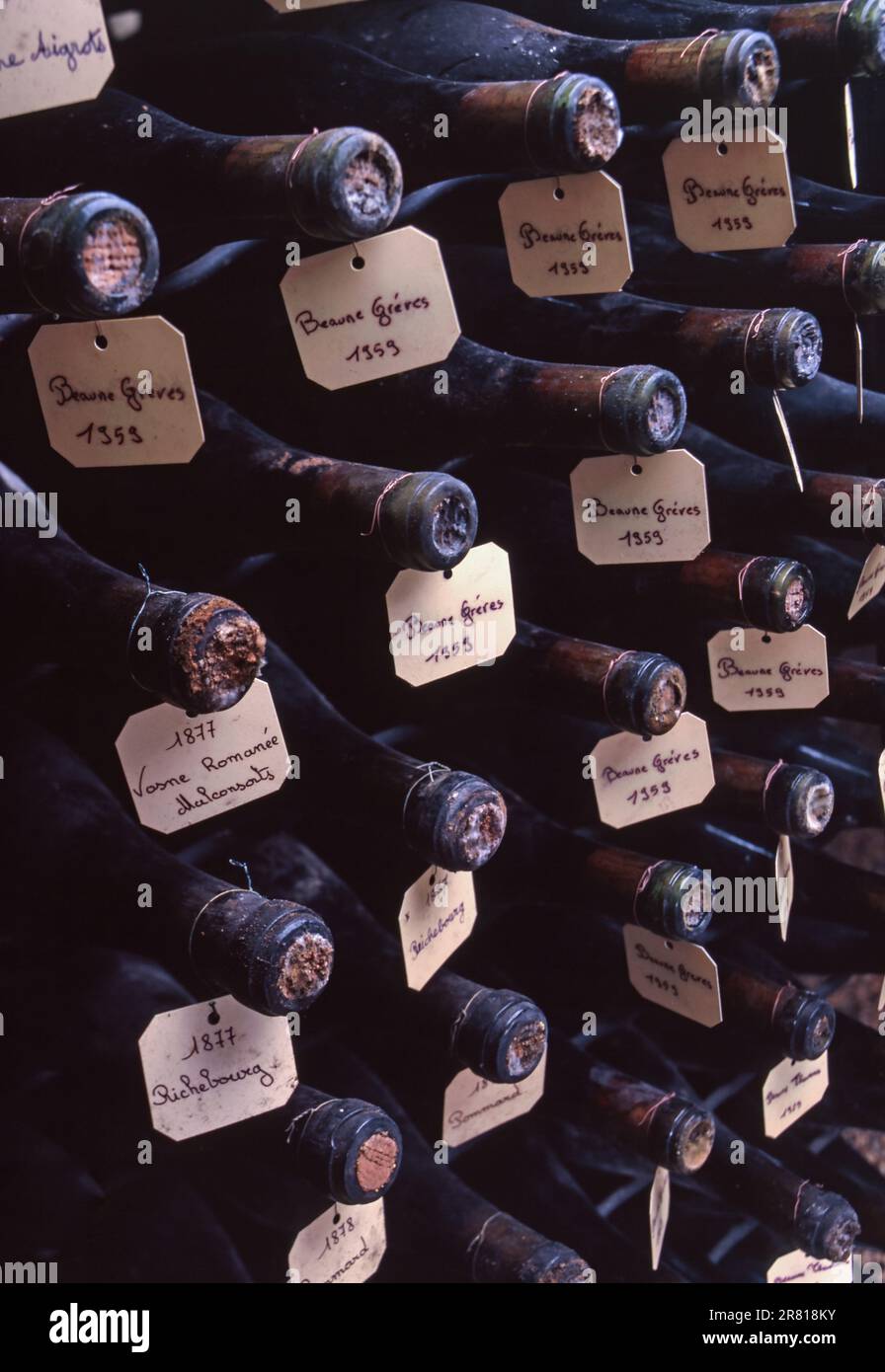 Burgundy fine wines labeled in cellar, inc.1959-Beaune Gréves, 1877-Vosne Romanée / Richebourg, in wine cellars of Louis Jadot Beaune Côte d'Or France Stock Photo