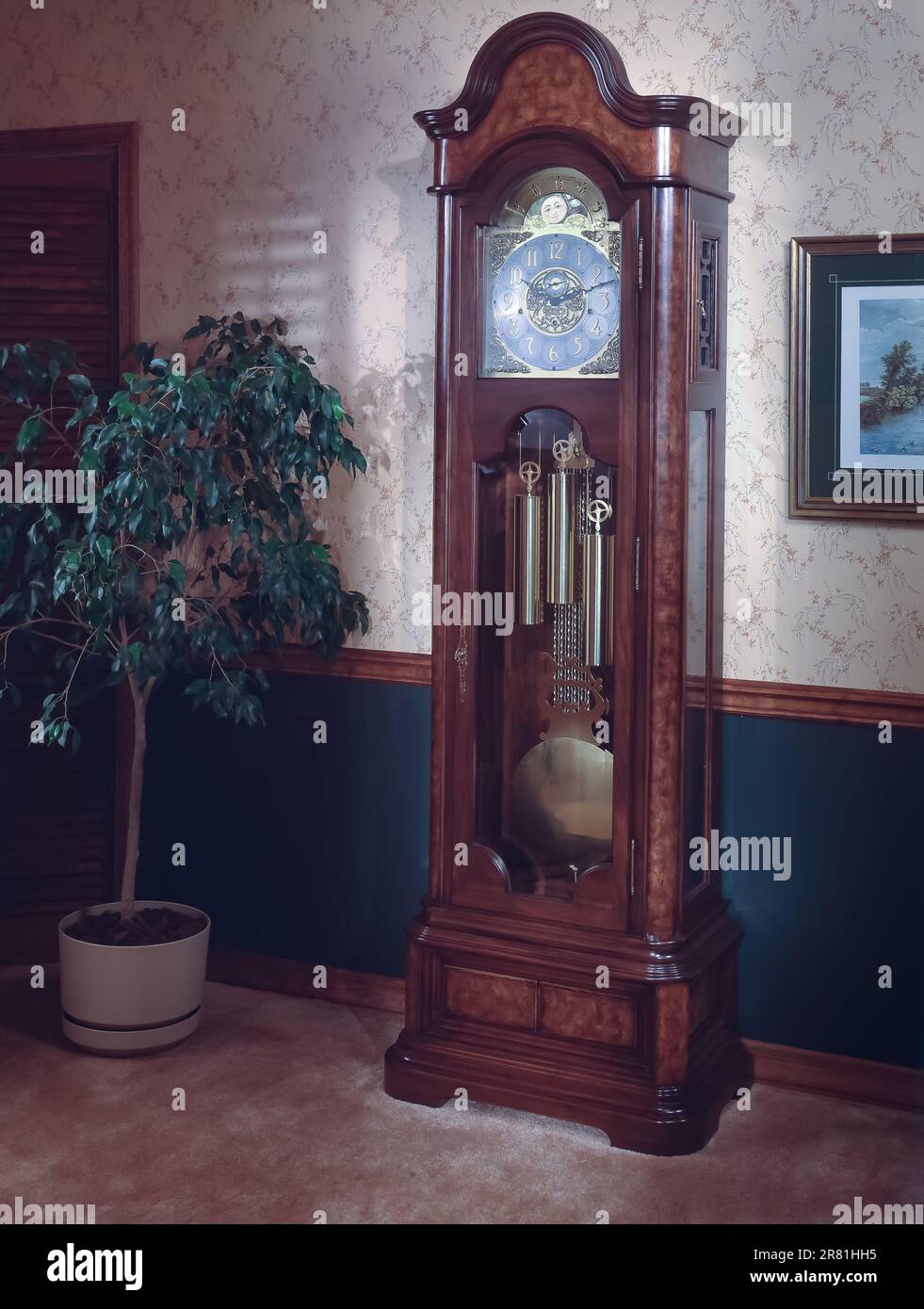 Grandfather clock in entrance hallway of house Stock Photo Alamy