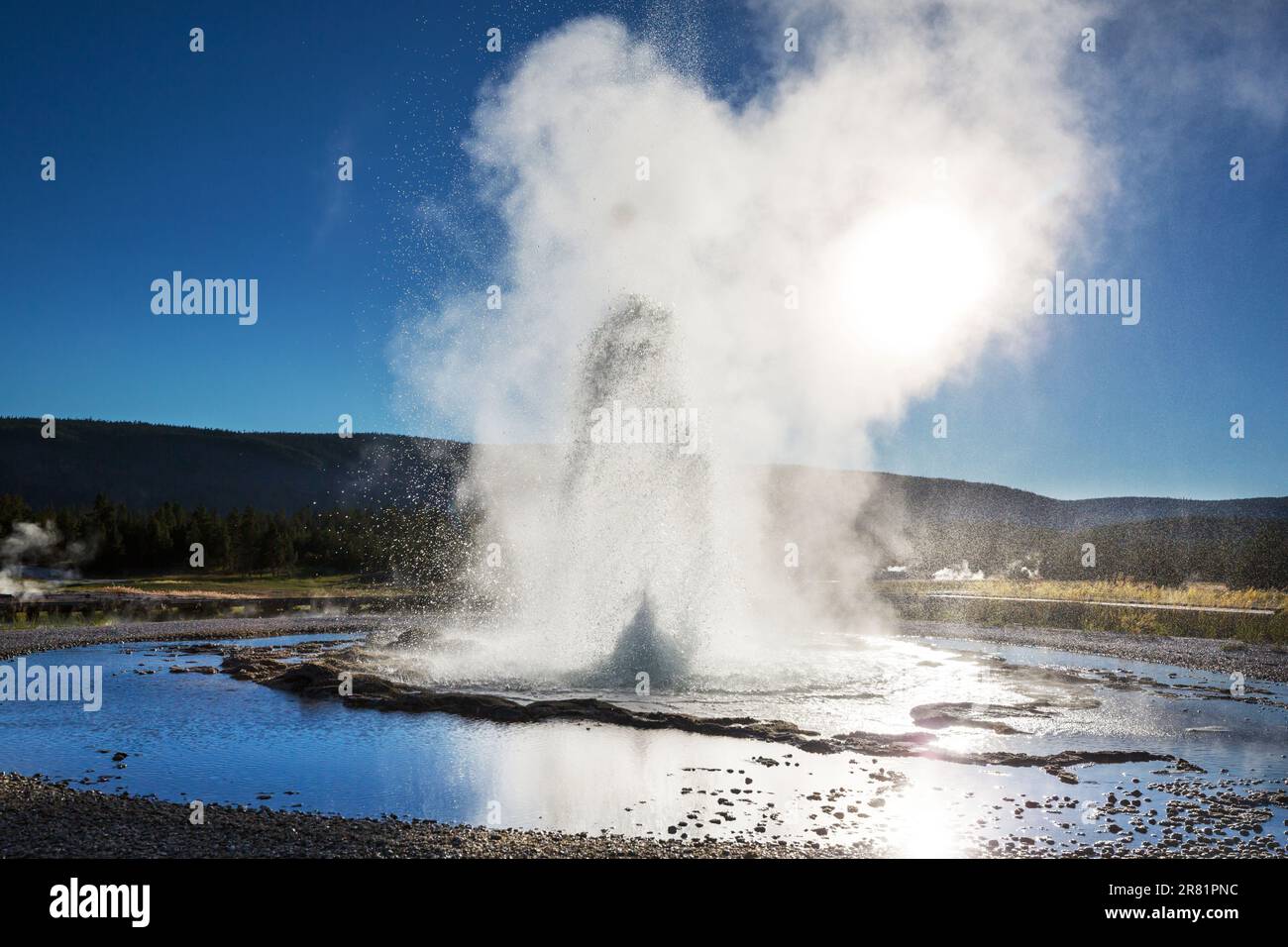 Old Faithful geyser eruption in Yellowstone National Park, USA Stock ...