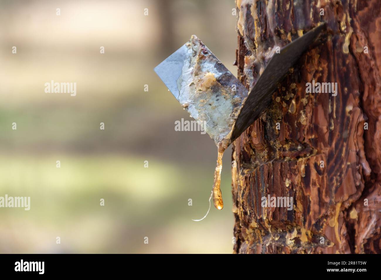 Connecting nozzle hi-res stock photography and images - Alamy