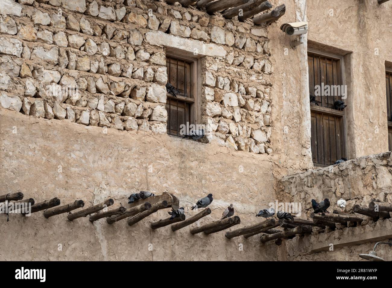 Birds sitting on a wooden poles of old house at Doha Qatar Stock Photo