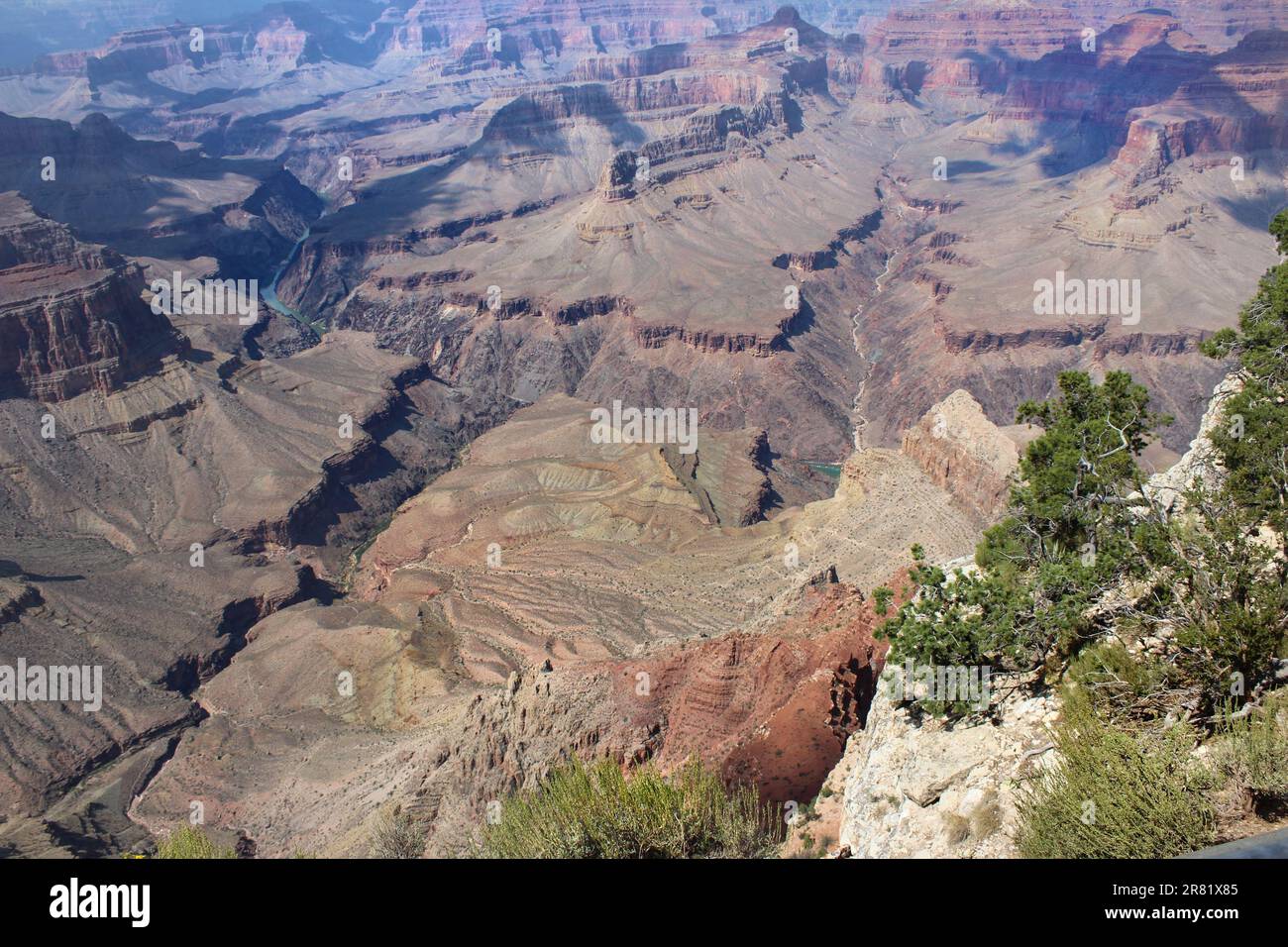Image showcasing A scenic view of the Grand Canyon from an elevated vantage point Stock ...