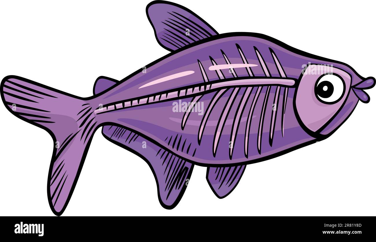 cartoon illustration of x-ray fish Stock Vector