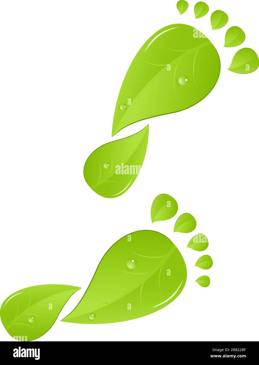Leaves in the shape of a footprint. Vector illustration. Stock Vector
