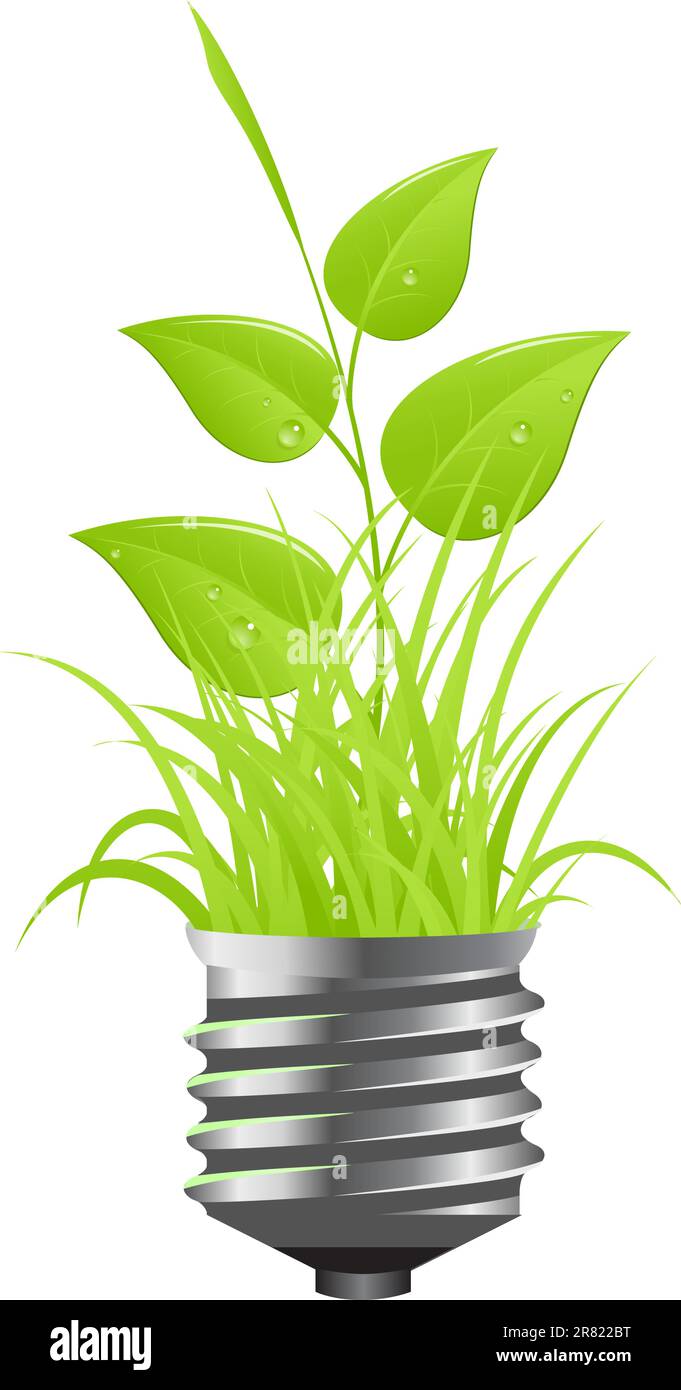 Light bulb with grass inside. Vector illustration, isolated on white ...