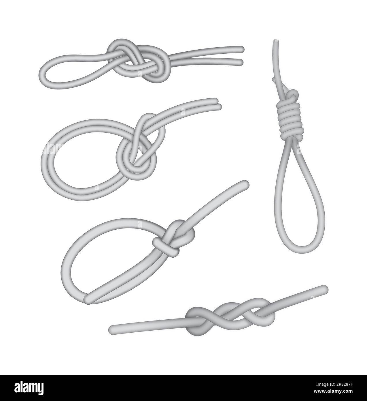 Different types of knots Stock Vector Image & Art Alamy