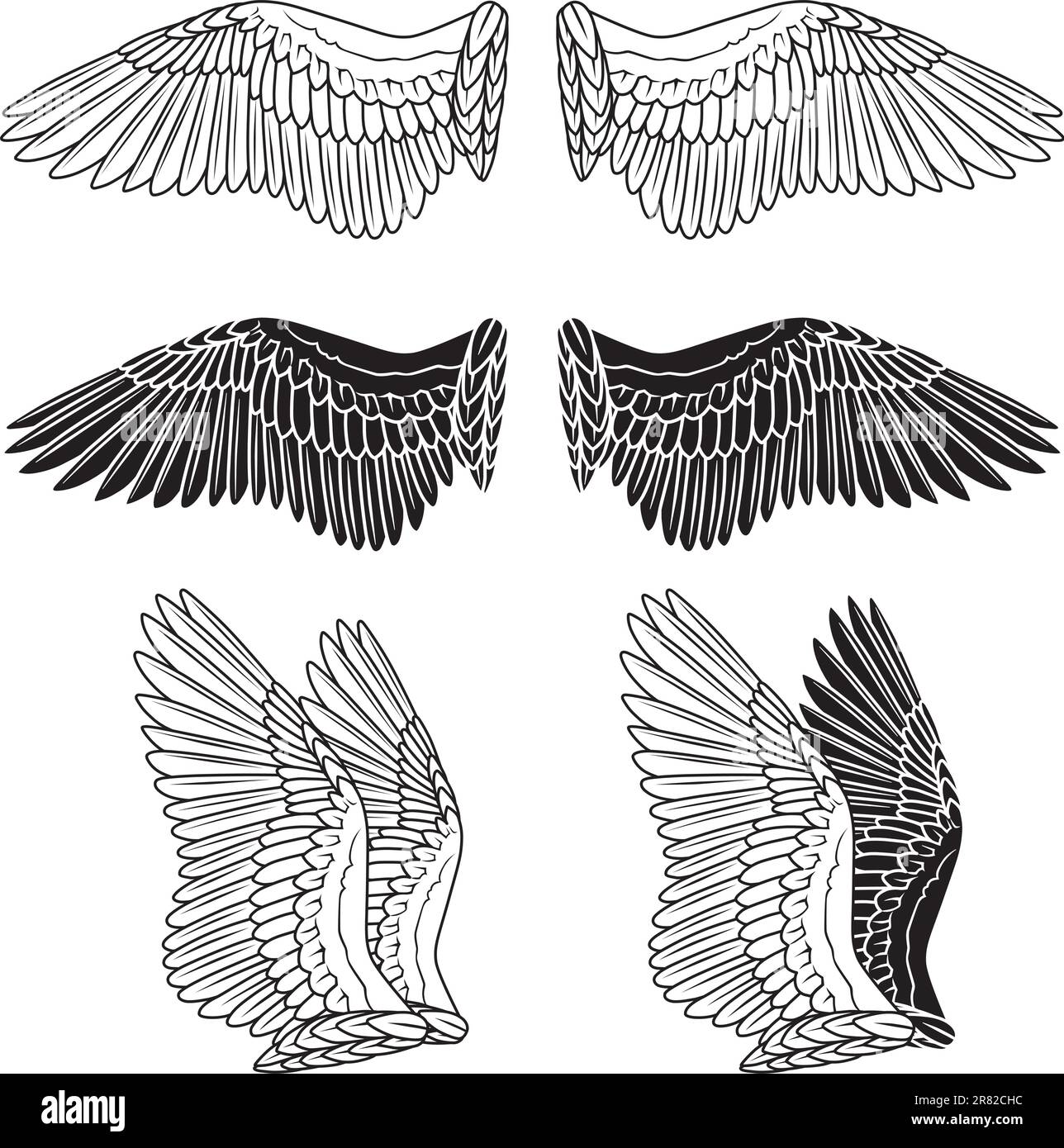 Pigeon wings isolated on white Stock Vector