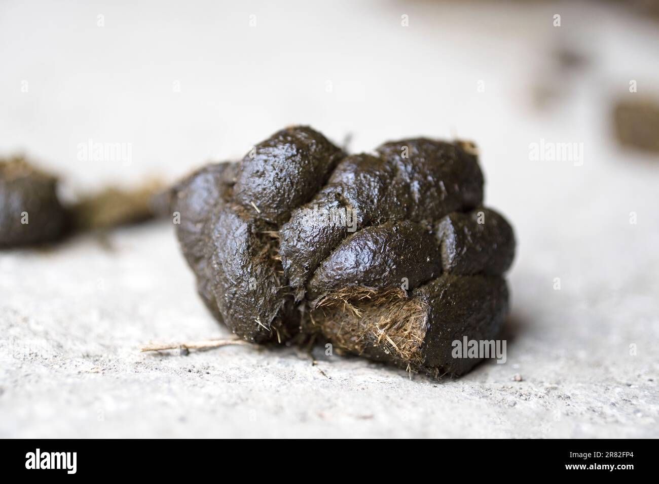 Horse Manure, Dung Stock Photo Alamy