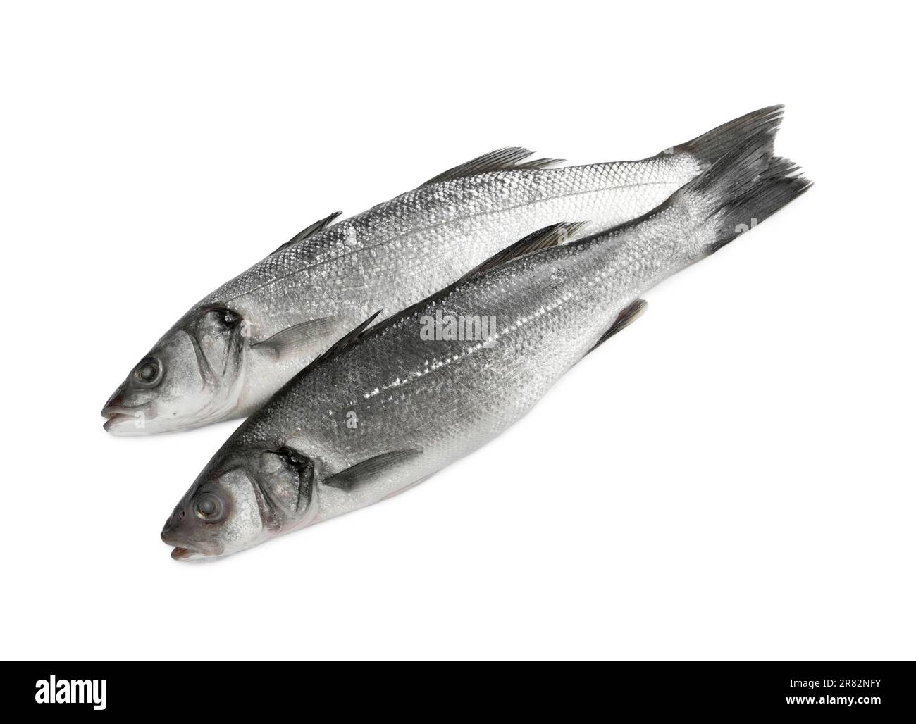 Fresh sea bass fish on white background, top view Stock Photo - Alamy
