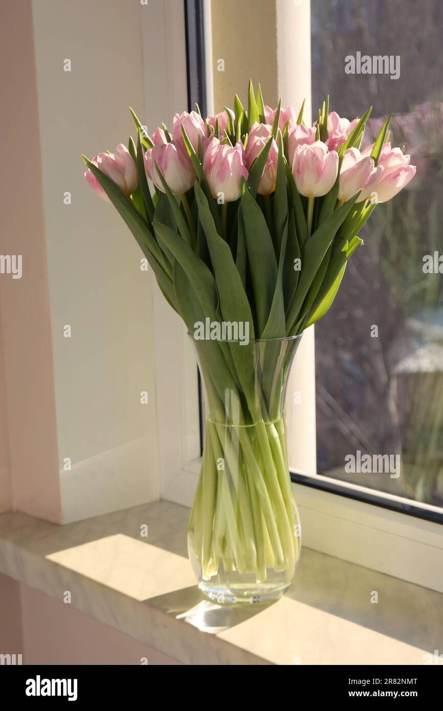 Spring is coming. Bouquet of beautiful tulip flowers in glass vase on windowsill indoors Stock Photo