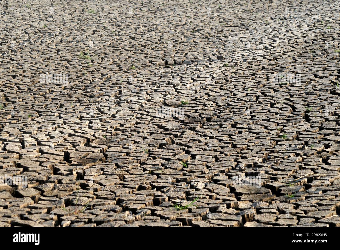 dry cracked earth as background or texture Stock Photo - Alamy
