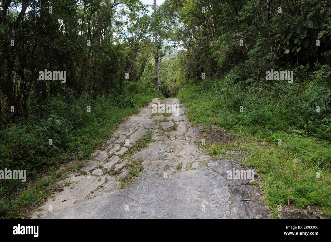 Sao José do Barreiro, March 25, 2023.Gold Trail with its historic pavement made by slaves in the eighteenth century, located in the Serra da Bocaina N Stock Photo