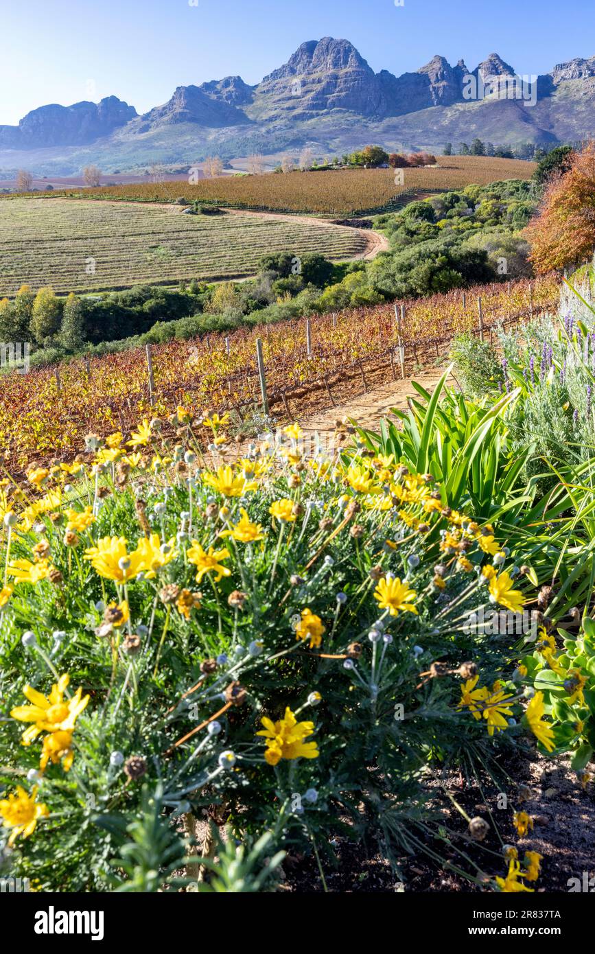 Helderberg