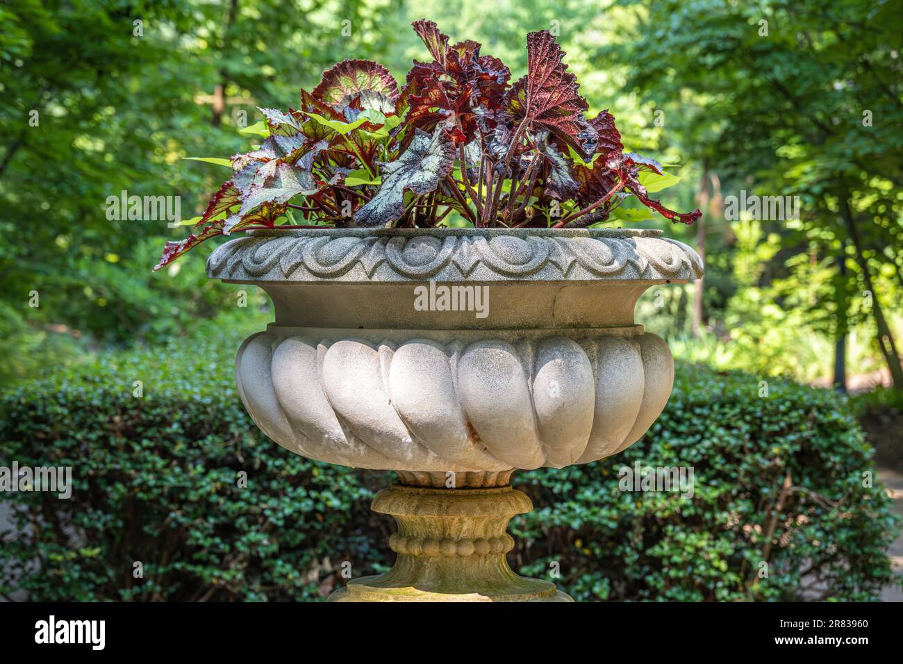 Sunlit garden urn planter along a scenic pathway at the State Botanical Garden of Georgia in Athens, Georgia. (USA) Stock Photo