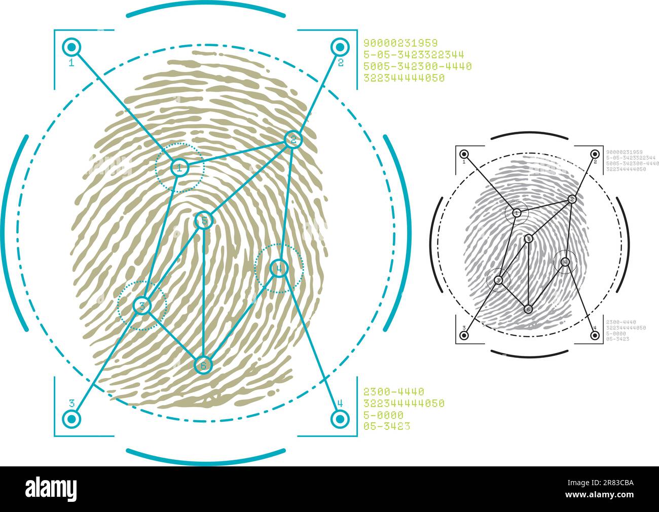 vector image of fingerprint security Stock Vector Image & Art Alamy