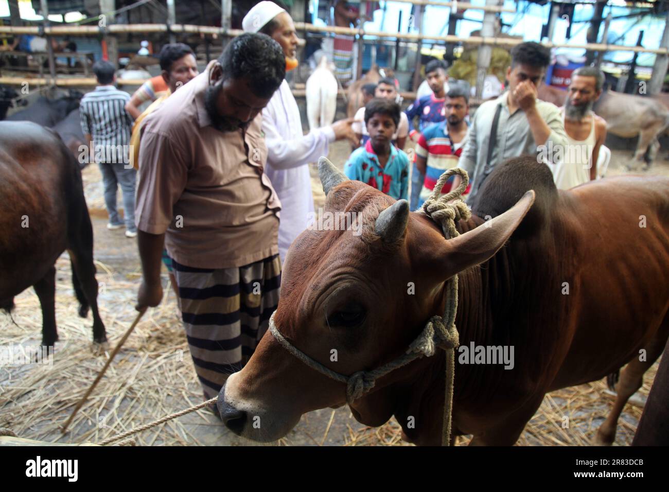Dhaka bangladesh 18 jun2023 hi-res stock photography and images - Alamy