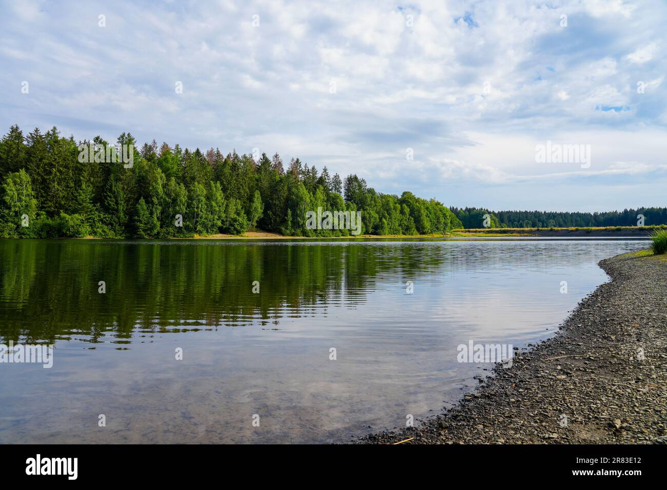 Landscape at the Unterer HausHerzberger Teich. Nature at the lake near