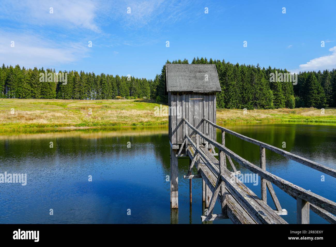 View of the landscape at the Wasserläufer Teich near Clausthal