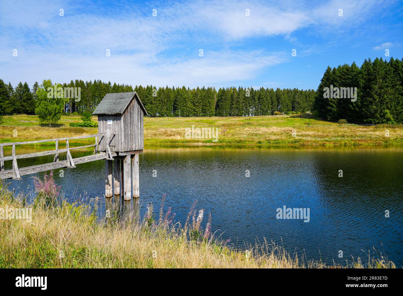 View of the landscape at the Wasserläufer Teich near Clausthal