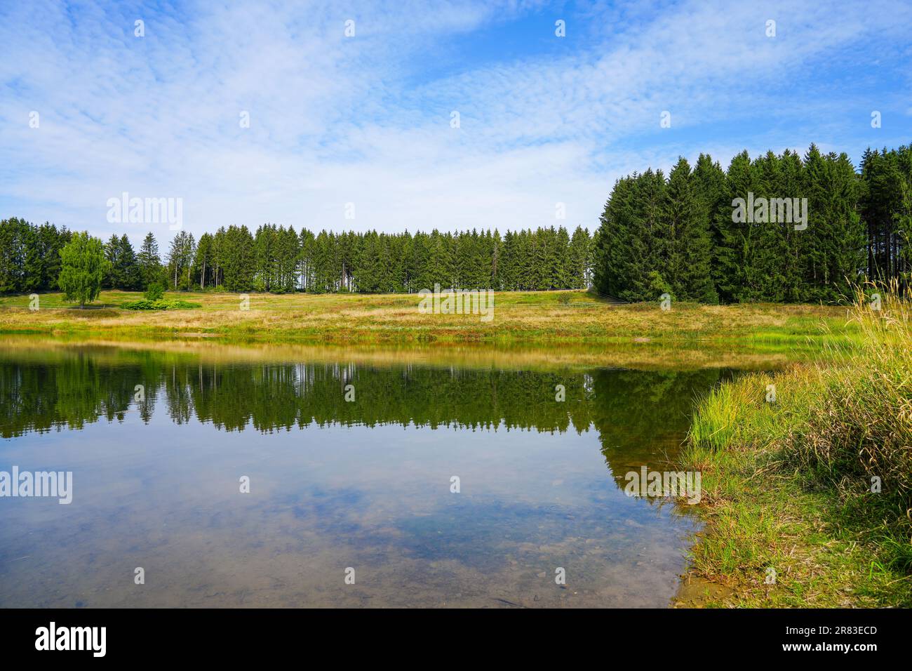 View of the landscape at the Wasserläufer Teich near Clausthal