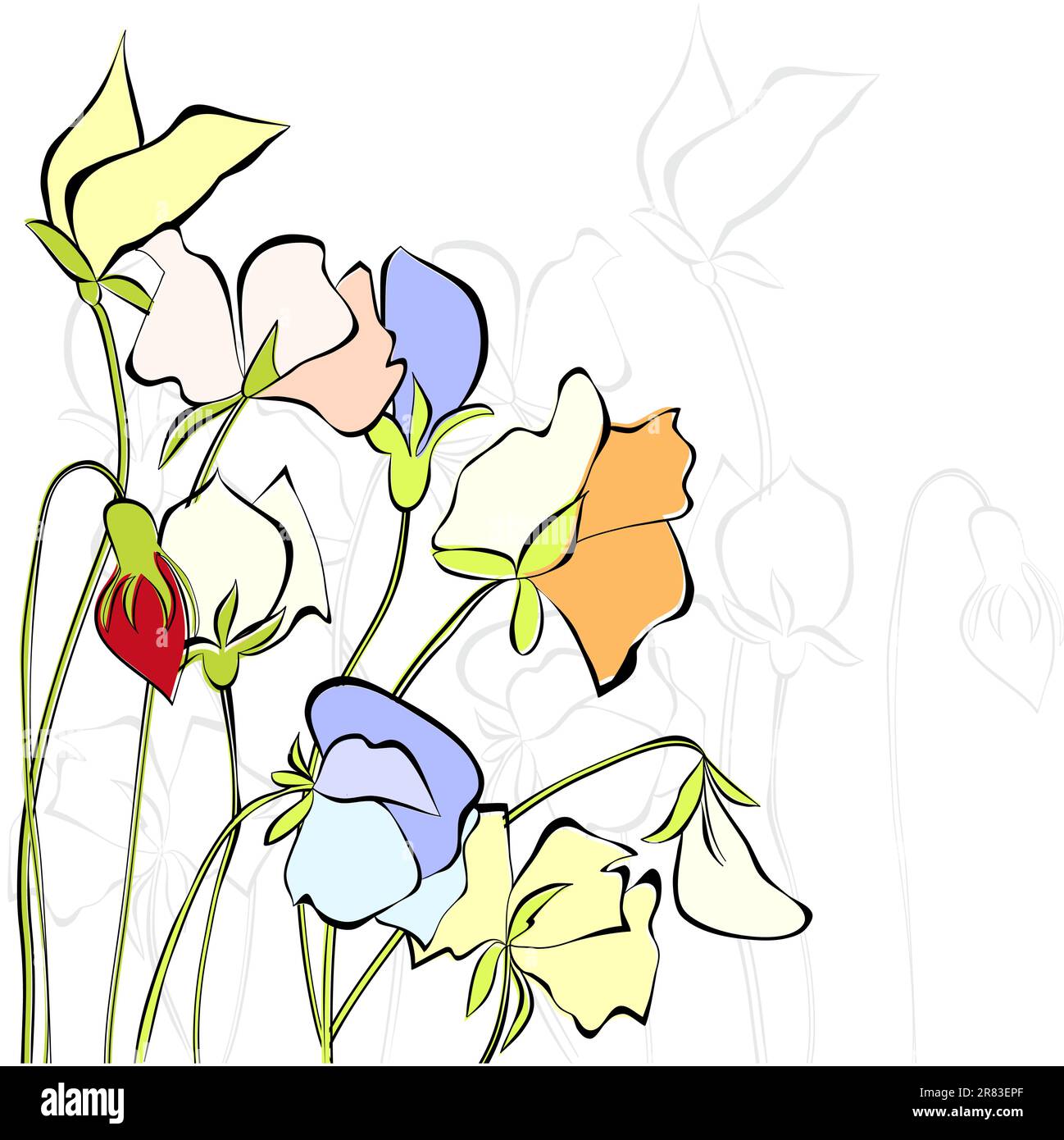 My Image 18