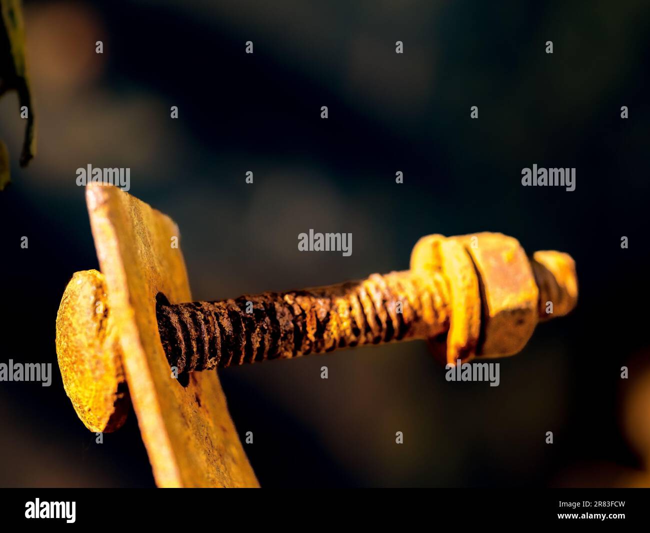 A closeup of an old, rusted, metal screw head protruding from a