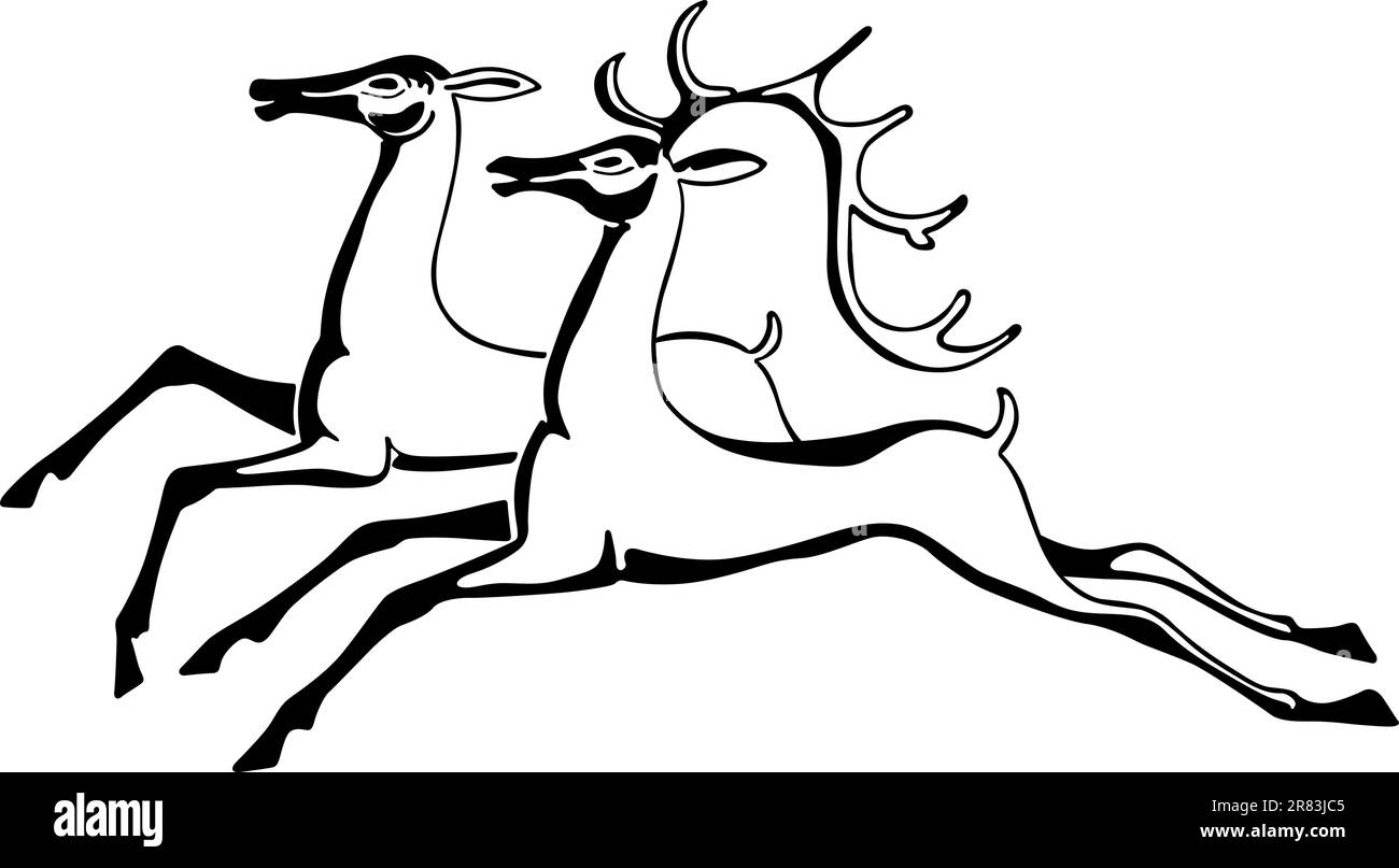 Two beautiful deers on white background Stock Vector Image & Art - Alamy