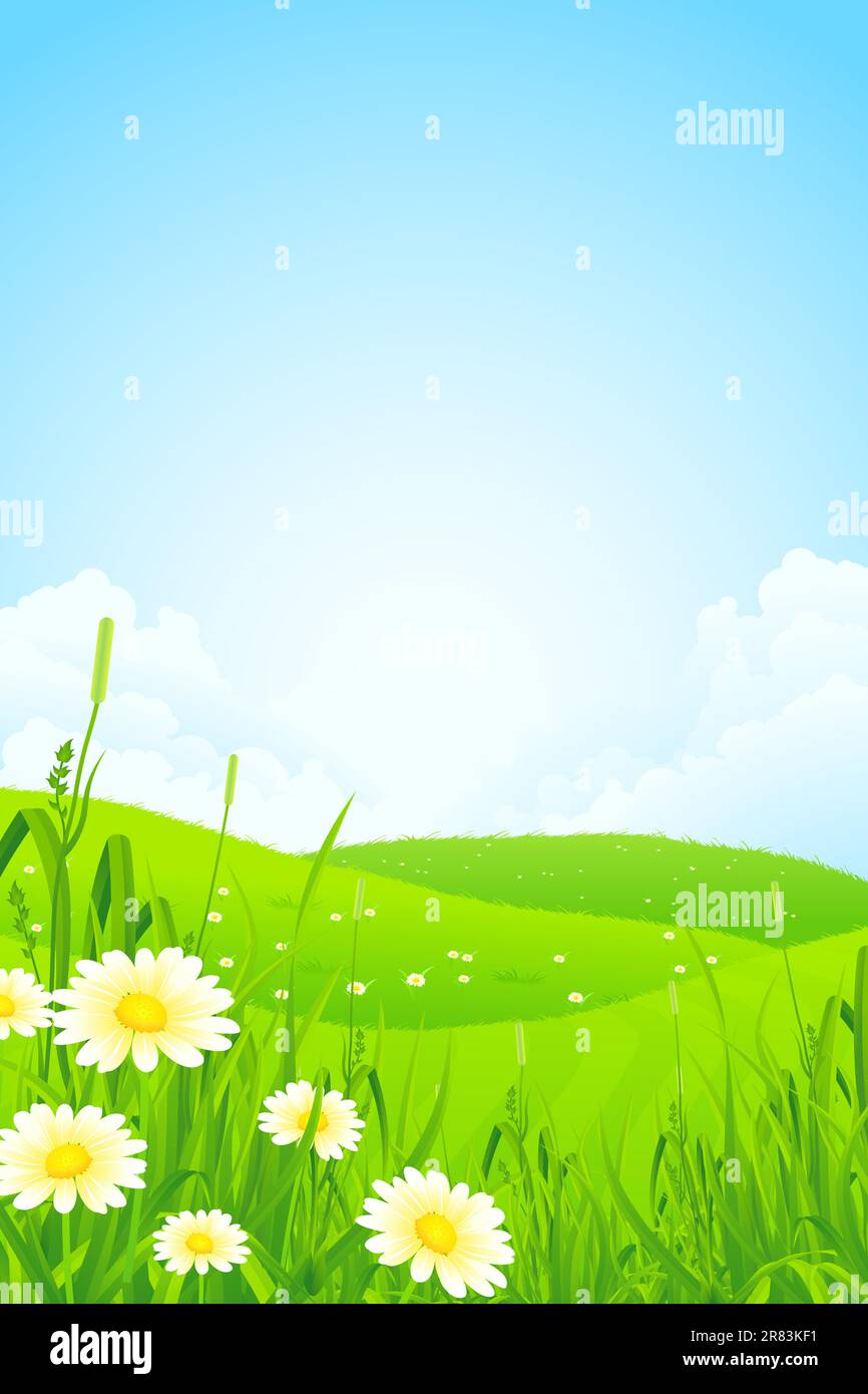 Green Nature Landscape with Flowers and Clouds Stock Vector Image & Art ...