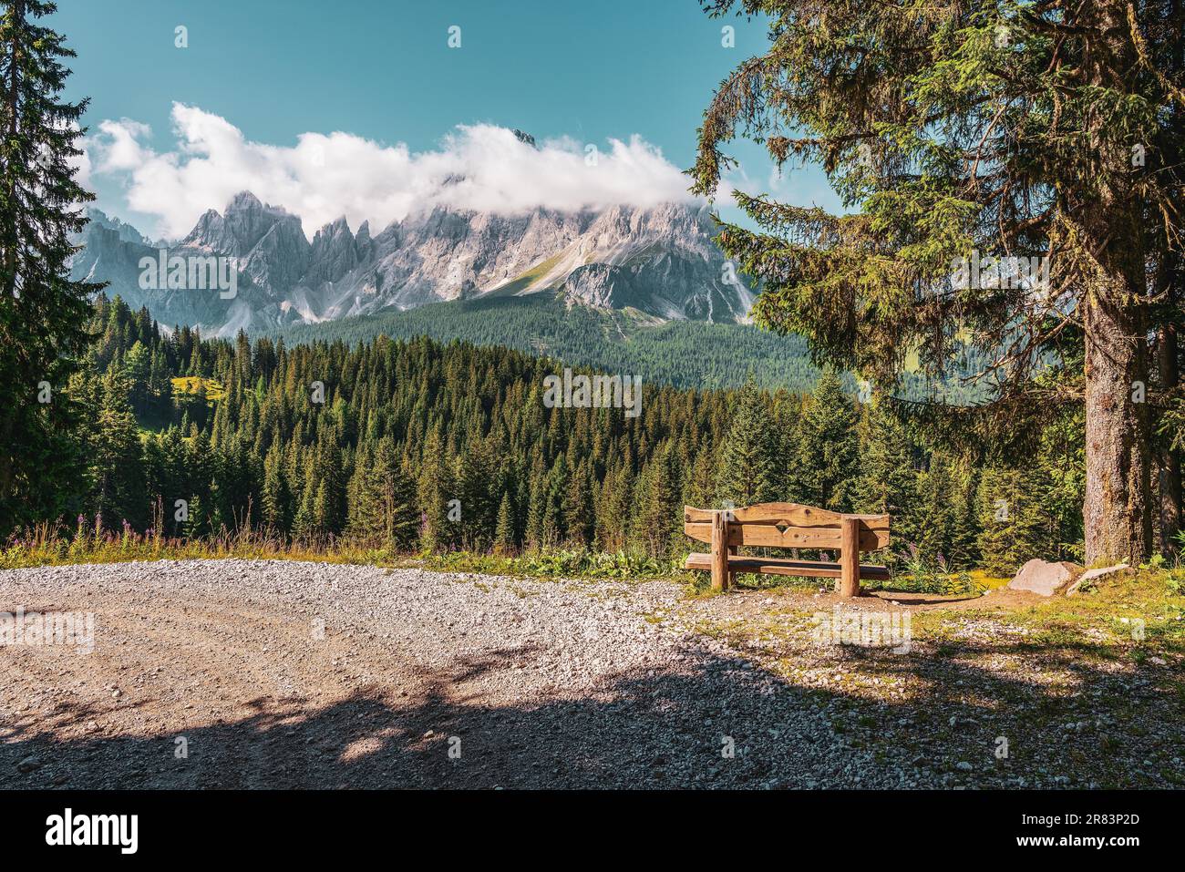 Wooden bench on hiking trails in the Dolomites, Italy Stock Photo